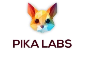 Pika Labs AI Video Generator Tool logo